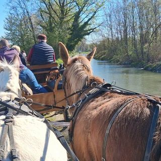 Bra è tappa del Paradriving Piemonte 2026, per superare la disabilità a cavallo