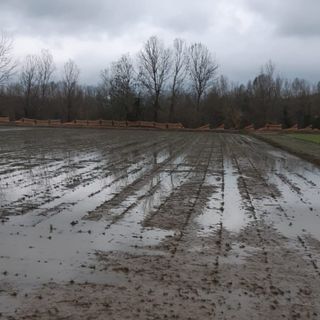 Coldiretti Piemonte: "Colture danneggiate da temporali e grandine, a rischio il lavoro dei produttori"