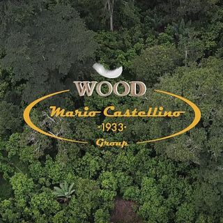 Mario Castellino 1933 sposa l’iniziativa Treedom, un pianeta più verde è un pianeta migliore