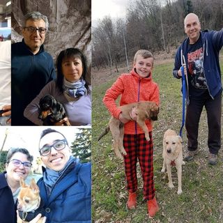 Oggi è l'International Dog Day: nel mondo si festeggia il più fedele amico dell'uomo Oggi è l'International Dog Day: nel mondo si festeggia il più fedele amico dell'uomo