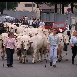 Con il film “Marghè Marghier”si racconta la vita dei margari piemontesi