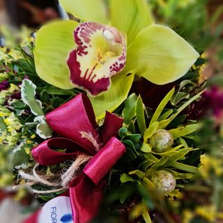 Fiorito: la scelta giusta a Cuneo per la Festività dei Santi