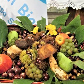 Frabosa Sottana, a Miroglio siconsegna il “Riccio d’oro 2022” Frabosa Sottana, a Miroglio siconsegna il “Riccio d’oro 2022”