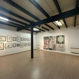 Bra, a &quot;Il Fondaco&quot; la mostra &quot;L'elefante nella stanza&quot; di Carlo Galfione