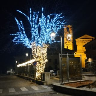 L'albero in piazza Umberto I