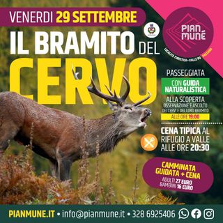 Pian Munè di Paesana: camminata alla scoperta del bramito dei cervi
