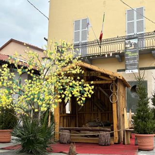 Chiusa di Pesio, un albero di fiocchi in vista dell'8 marzo