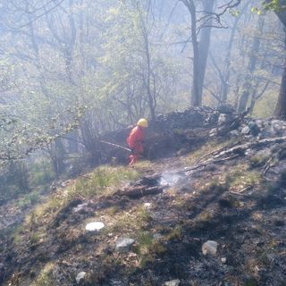 Aib all'opera tra Ceva e Castellino Tanaro