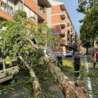 Il mese di luglio si era aperto con la tromba d'aria che investì diverse zone della provincia e Alba in particolare. Le precipitazioni degli ultimi giorni non hanno rimediato al grave gap registrato in Piemonte da inizio anno