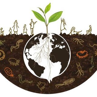 Non può esserci agricoltura senza ecologia: se ne parla a Mondovì