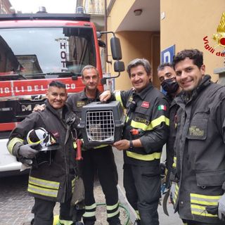 Immagine di repertorio