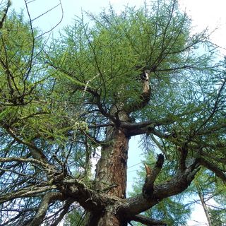 Immagine di repertorio