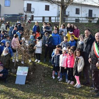 Alba: i 30 alberi del Bosco incantato di “Notti della Natività” germoglieranno in altrettanti Comuni