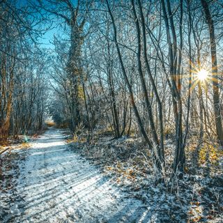 Foto di Andy Holmes - tramite Unsplash