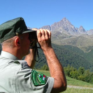 I numeri dell’attività svolta nel 2014 dal Nucleo Operativo Provinciale di Vigilanza WWF