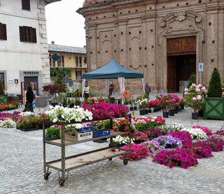 Barge saluta il ritorno di "Un giorno in fiore"