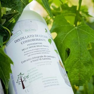 I prodotti a marchio BioDea per un'agricoltura sostenibile presentati nei prossimi eventi di settore a settembre I prodotti a marchio BioDea per un'agricoltura sostenibile presentati nei prossimi eventi di settore a settembre