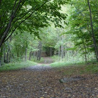 Immagine di repertorio