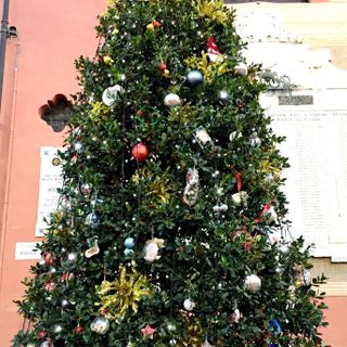 L'alberto di Natale allestito da Assoimprese in piazza della Rossa