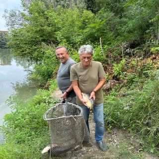 Ripopolamento di carpe nel Tanaro grazie alla Federazione Italiana Pesca Sportiva
