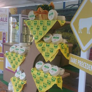 La caciotta di solidarietà