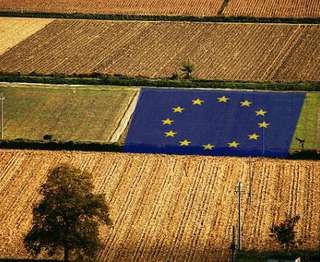 Immagine di repertorio