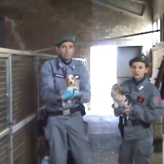 L'operazione dei Carabinieri