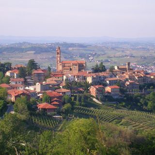 Arriva “Il Giorno delle Orchidee” a Castiglione Tinella