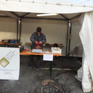 Borgo San Dalmazzo, l'appello del Consorzio della chiocciola: "Anche per il nostro prodotto difficoltà nella commercializzazione"