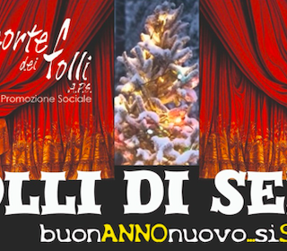 Fossano: la Corte dei Folli augura buon anno attraverso una diretta streaming