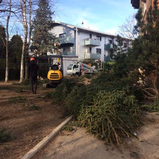 Tromba d'aria: proseguono nel cuneese le attività di messa in sicurezza (GUARDA LA GALLERY)