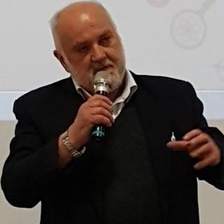 Don Domenico Ricca, "don Mecu"