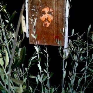 “PASSIO”con i rami d’ulivo