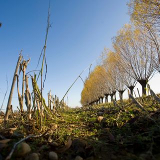 Il Parco fluviale Gesso e Stura e gli agricoltori, insieme per la biodiversità Il Parco fluviale Gesso e Stura e gli agricoltori, insieme per la biodiversità