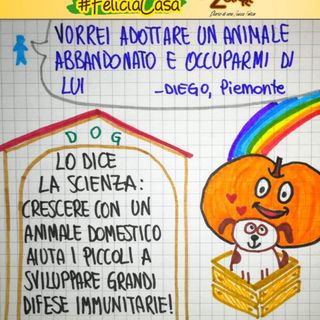 FavoleaCasa: Fata Zucchina legge e commenta "il prezzo del cagnolino", racconto per l'anima