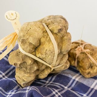 Ad Alba prosegue la Fiera internazionale del tartufo bianco d'Alba (Giorgio Perottino Getty Images)