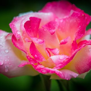 In arrivo un'altra settimana di instabilità tra piogge e nubi: domani le massime sfioreranno i 30°C In arrivo un'altra settimana di instabilità tra piogge e nubi: domani le massime sfioreranno i 30°C