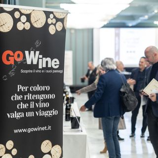 Ad Alba torna l'ormai tradizionale appuntamento con la festa del vino "Go Wine"