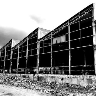 Gianfranco Marengo: "La Verzuolo che vorrei è fatta da coloro che per un frutteto che muore ne piantano un altro"