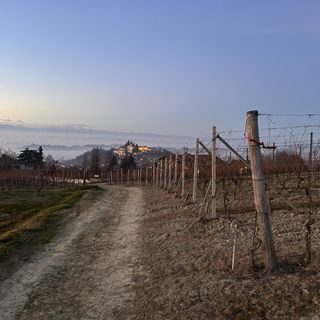 Coldiretti Cuneo: "Bene la riforma delle Dop e Igp"