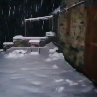 Faule: 17 anni di prodotti ittici, cultura e tradizioni, per la riuscita “Festa del Po 2014”