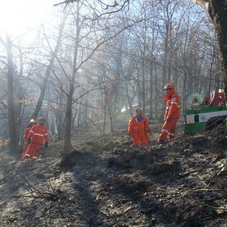Divampa incendio nei boschi tra Demonte ed Aisone