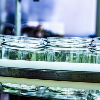 La trasformazione dei prodotti ortofrutticoli: incontro organizzato dal Polo AGRIFOOD al MIAC