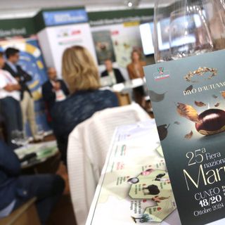 Fiera del Marrone e mercato straordinario, domenica 20 ottobre viale Angeli sarà aperto al traffico Fiera del Marrone e mercato straordinario, domenica 20 ottobre viale Angeli sarà aperto al traffico