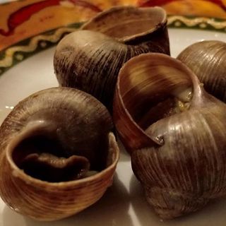 Borgo San Dalmazzo: in attesa della Fiera Fredda la chiocciola incontra il porro, il bue e il cappone