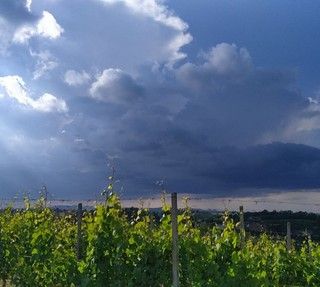 CHE TEMPO FARA' / Ancora una settimana con piogge e temporali