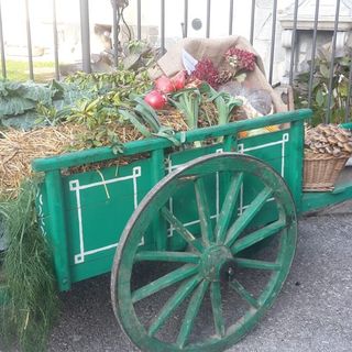 Margarita in festa per la Sagra del Coj, con un ricco weekend di eventi