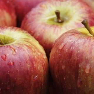 Resa costante e qualità eccellente: ecco perché hanno successo le mele della provincia di Cuneo