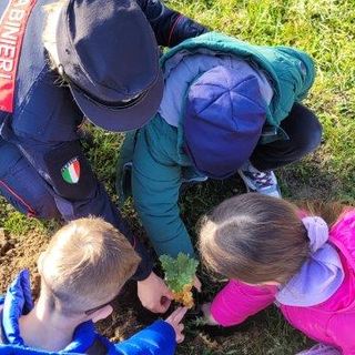 Un successo la Festa dell'Albero: messe a dimora in Granda 26 piantine
