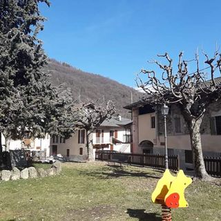 Monterosso Grana: dopo la potatura delle piante delle aree verdi, i ringraziamenti dell'amministrazione